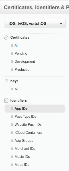 скриншот где в меню найти App IDs